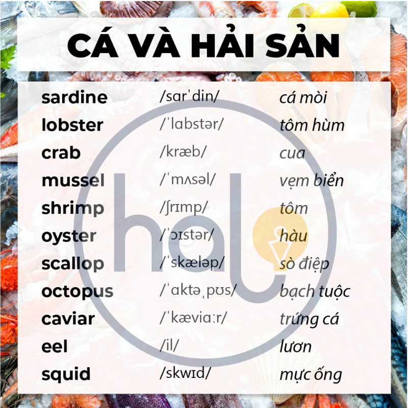 từ vựng căn bản