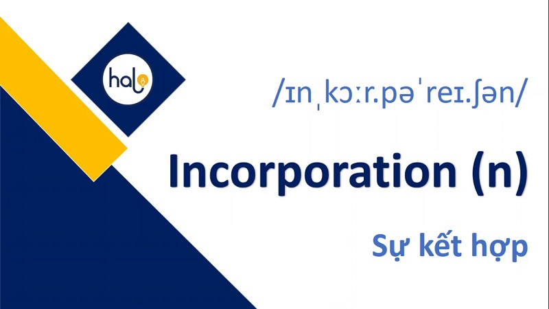 Từ Vựng TOEIC Mỗi Ngày 89 Incorporation