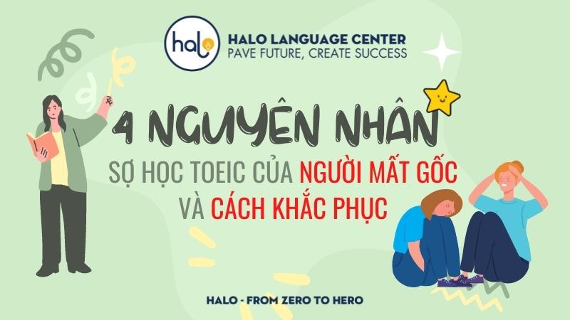 4 Nguyên nhân sợ học toeic của người mất gốc - Halo Language Center