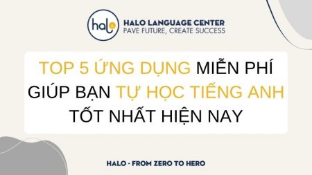 Ứng dụng học tiếng Anh miễn phí dành cho người mất gốc - Halo Language Center
