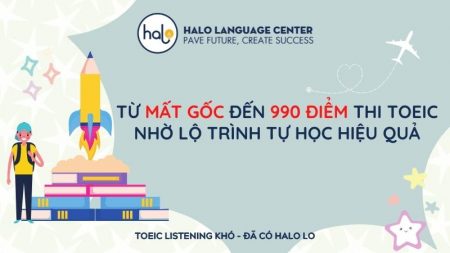 Lộ trình tự học TOEIC từ mất gốc đến đạt 990 TOEIC - Halo Language Center