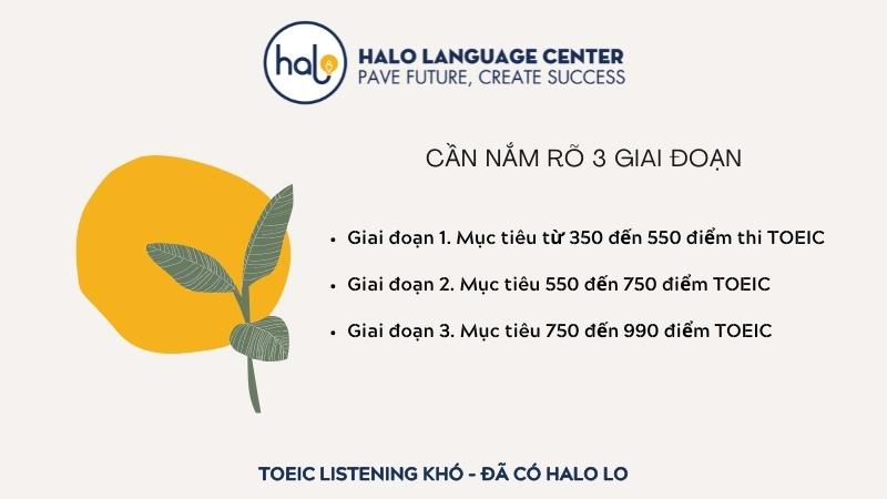 Lộ Trình Học TOEIC 350 Lên 990 Hiệu Quả - Halo Language Center